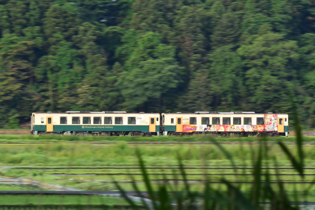 緑の田園