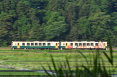 緑の田園