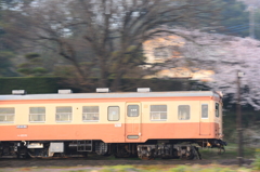 キハ205桜流し
