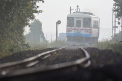 霧の朝列車