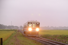 雨の水田地帯