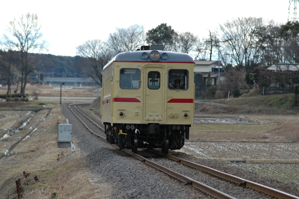 ぬかるむ水田地帯