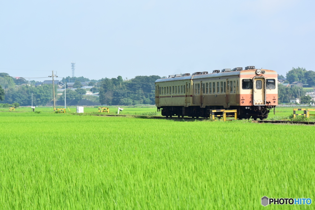 快晴の夏