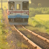 ミキ登坂