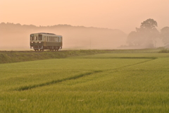 朝霧の大地