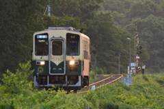 おびただしい蚊