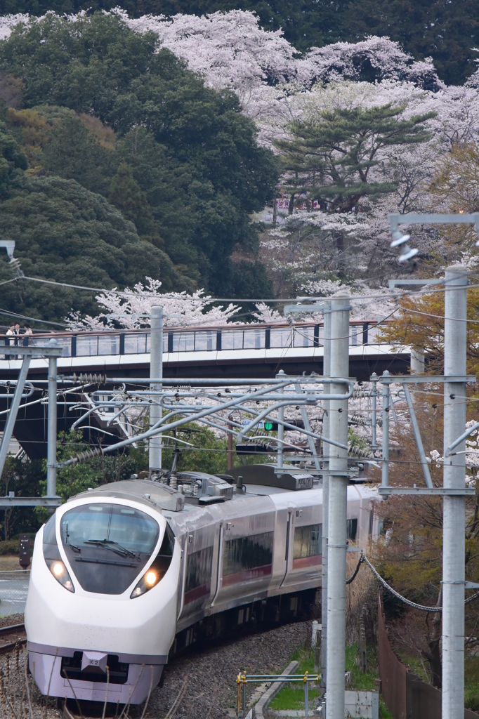 桜山下を行くE657