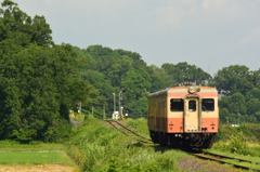 朝列車が行く