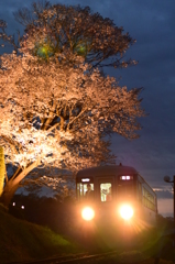 湊線夜桜