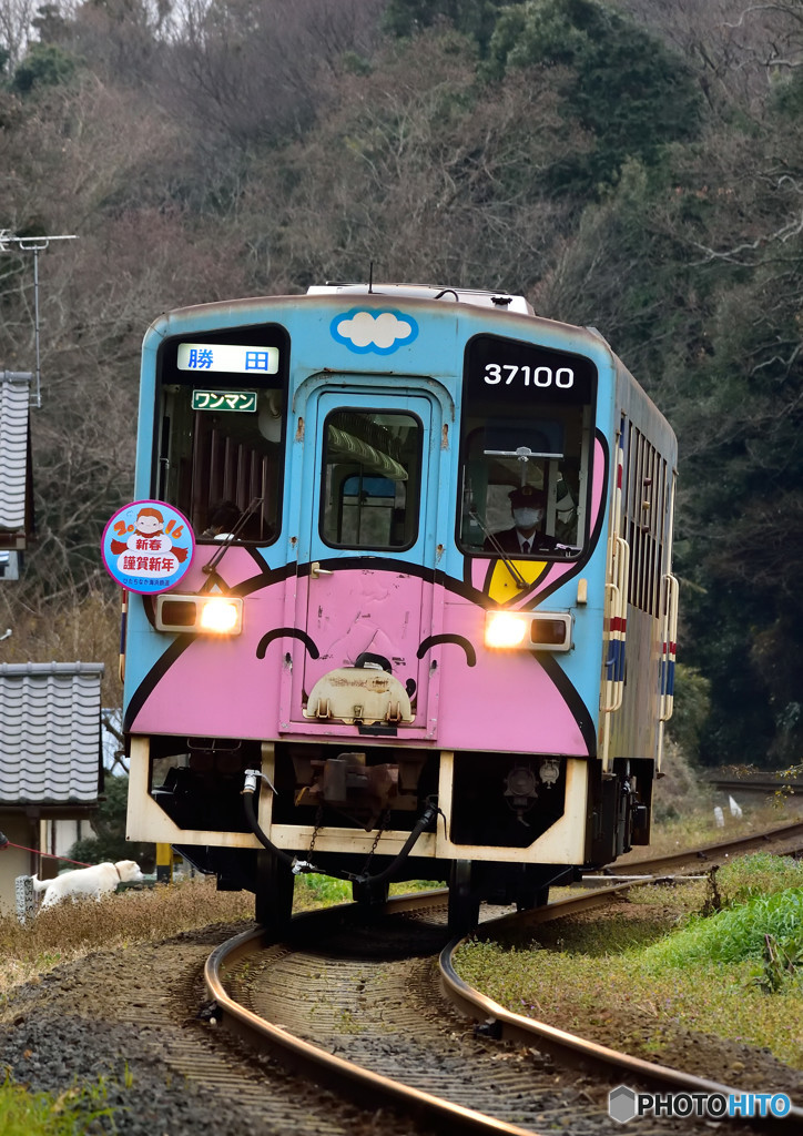 謹賀新年 37100-03