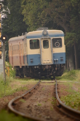 旧型気動車カーブ進行