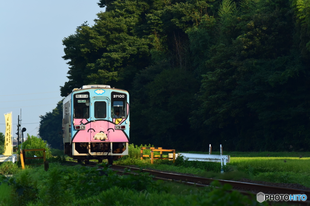夏の午後