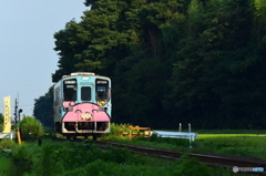 夏の午後