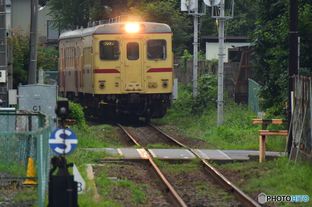 朝列車が来る