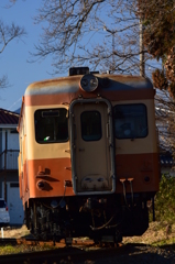 カント