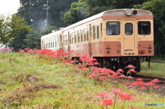 キハ205ヒガンバナの駅を発つ