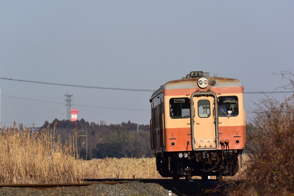 荒れ野を行く