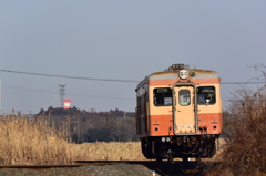 荒れ野を行く