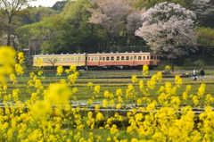 田園を行く