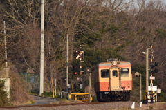 芽吹きが待ち遠しい