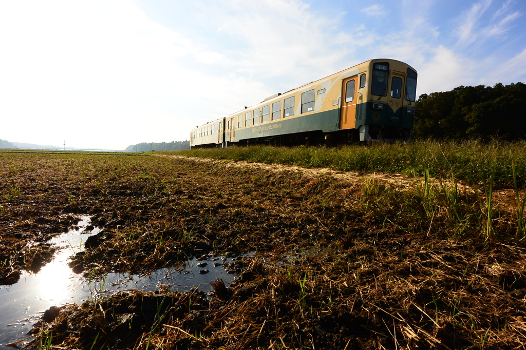 水たまりの太陽