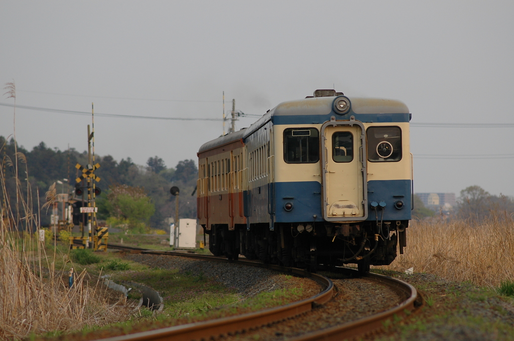 旧型気動車カーブ進行