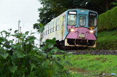 雨光る