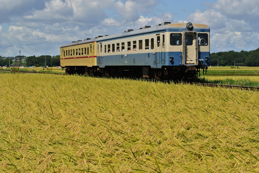 旧型気動車を楽しむ