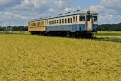 旧型気動車を楽しむ