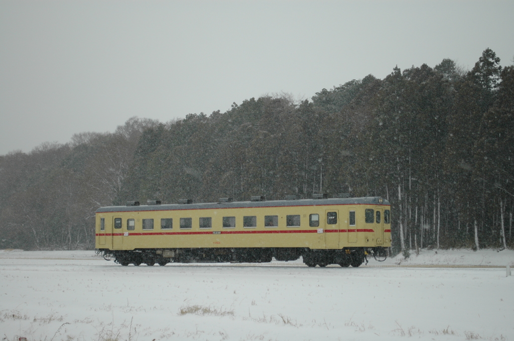 雪中のキハ2004