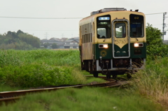 夕列車