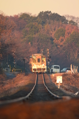 朝の光