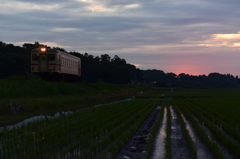ほんのり夕日