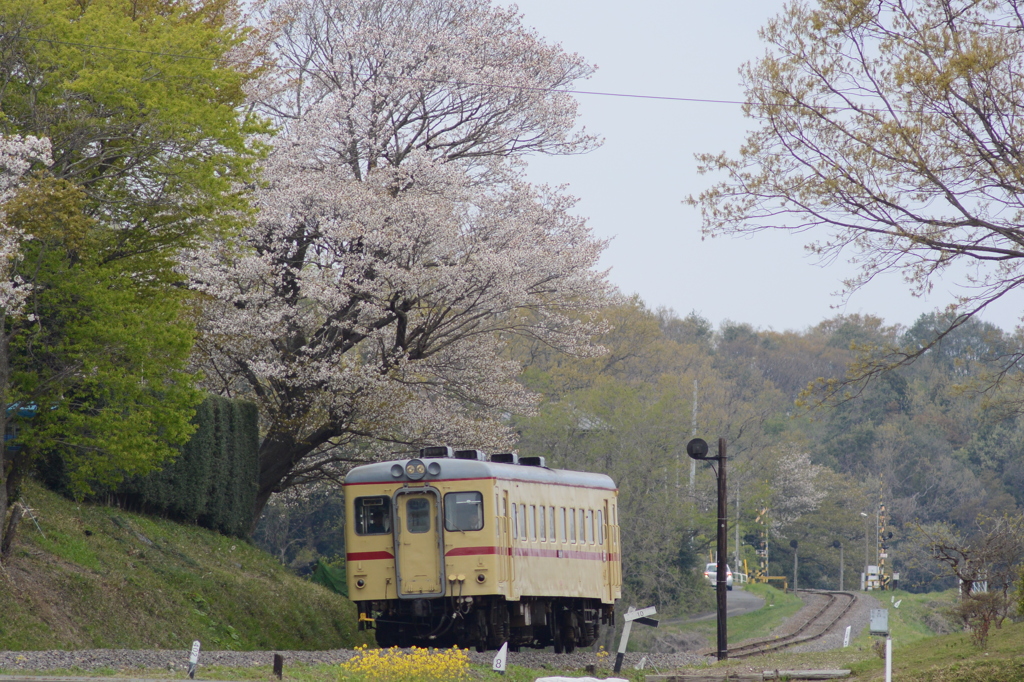 台地から伸びる鉄路