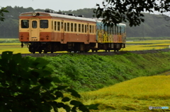 雨の朝列車