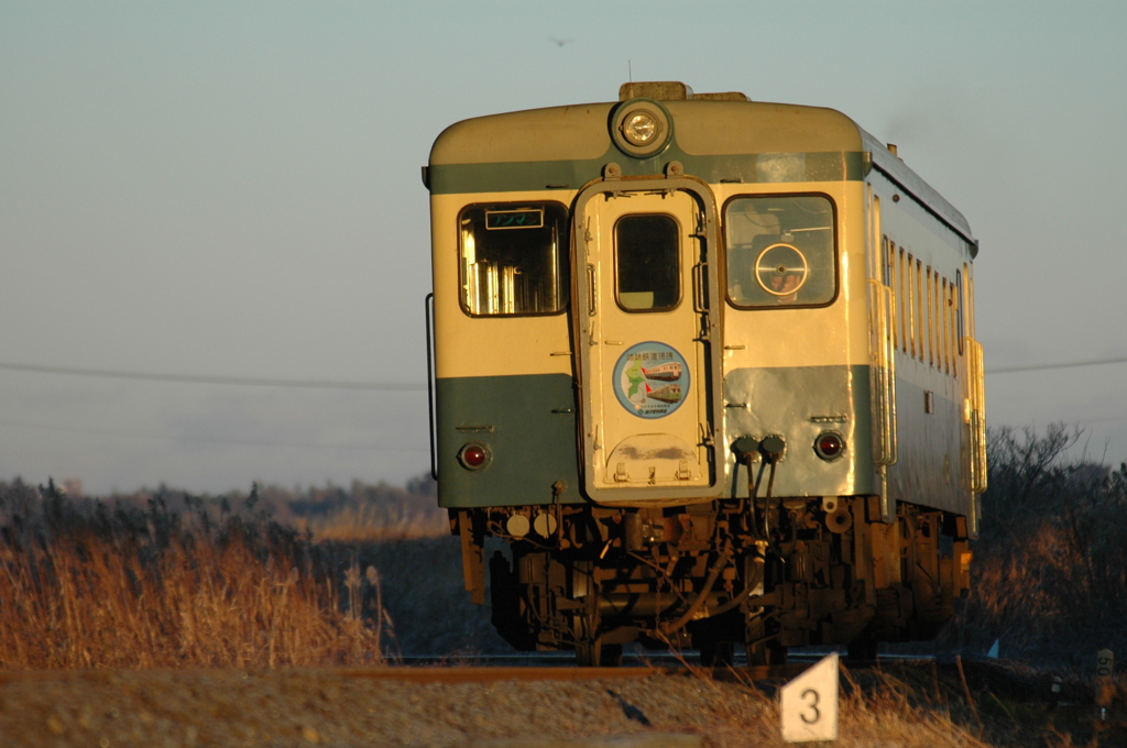 朝日を浴びるキハ222