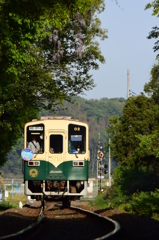 藤が咲く鉄路