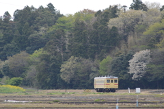 田園