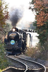 今日でC61とお別れ