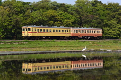シラサギと旧型気動車