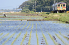 農作業