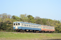 新緑の築堤