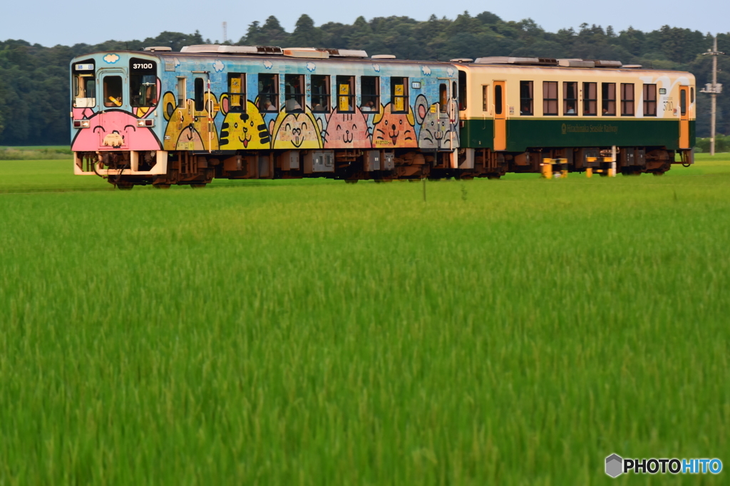 アニマルはビール列車