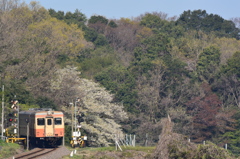 山萌える