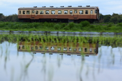 水鏡の夕列車