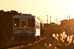 夕日に輝く