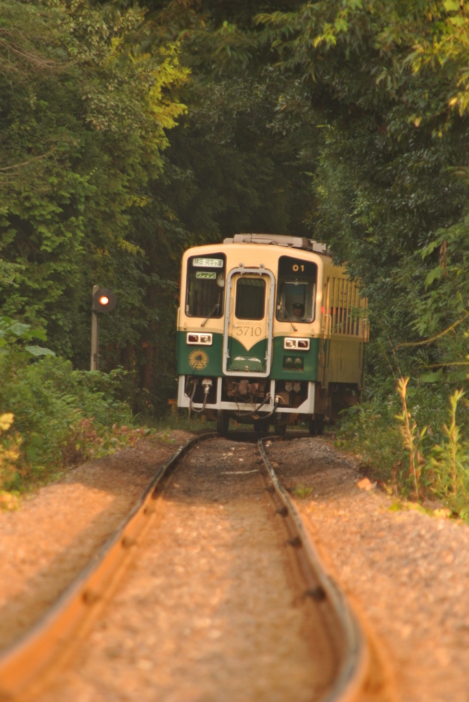 山間からのぞく
