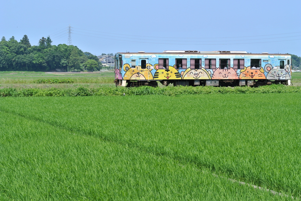 アニマルと青空