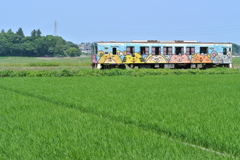 アニマルと青空