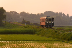 霞む夕暮れ